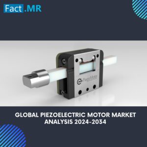 Global Piezoelectric Motor Market Overview (2024 to 2034)