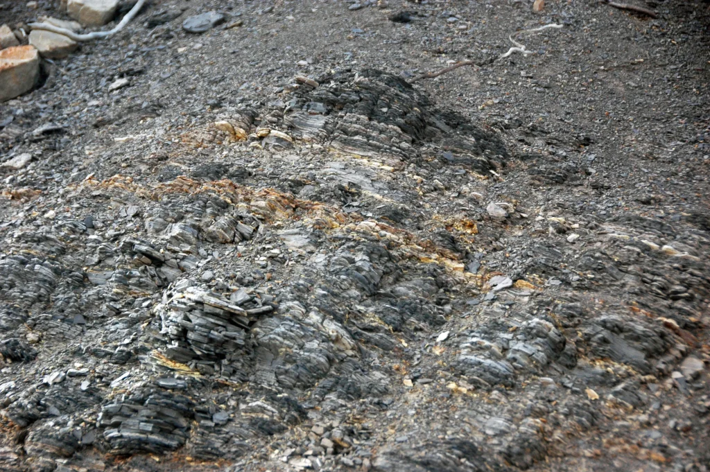 Gray shale bentonites Benton Shale Upper Cretaceous Red Rock Canyon Open Space Colorado Springs Colorado USA 4