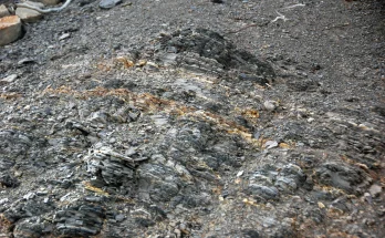 Gray shale bentonites Benton Shale Upper Cretaceous Red Rock Canyon Open Space Colorado Springs Colorado USA 4