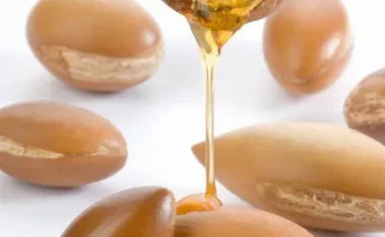 argan oil 500x500 1