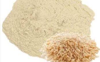 Rice Protein