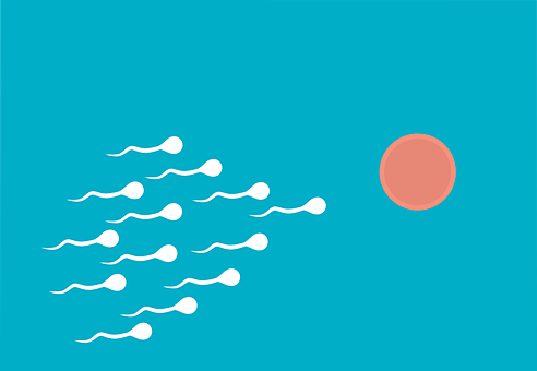 Intrauterine Insemination