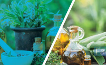 Medicinal-Herbs-Industry