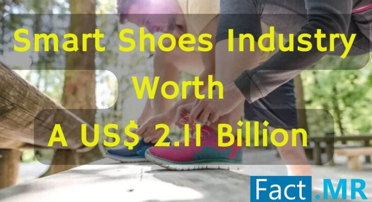 Smart Shoes Industry