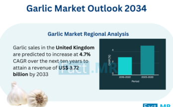 Garlic Market Business Analysis 2034