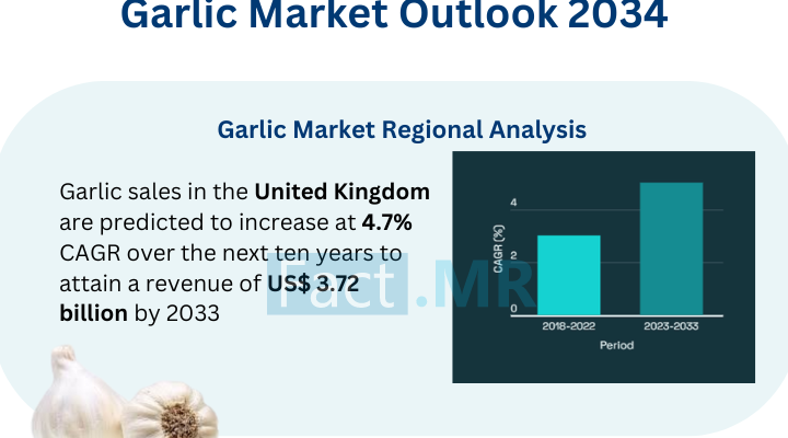 Garlic Market Business Analysis 2034