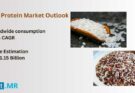 Rice Protein Market Outlook