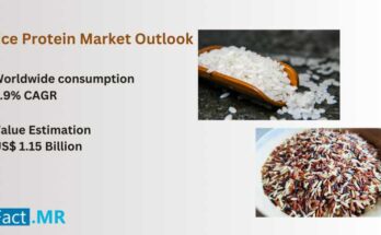 Rice Protein Market Outlook