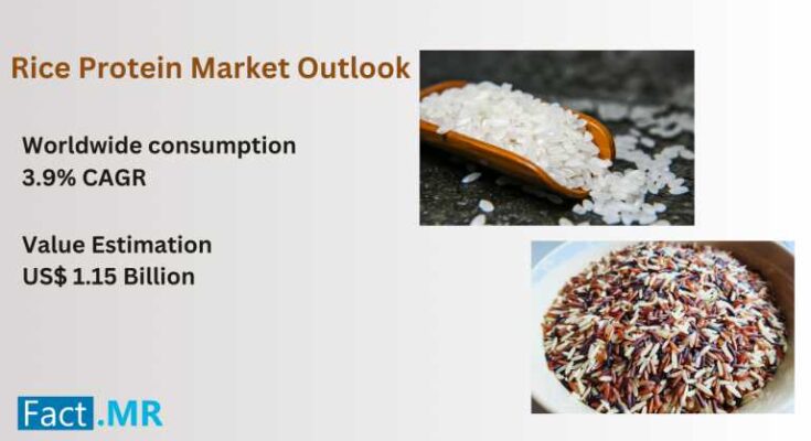 Rice Protein Market Outlook