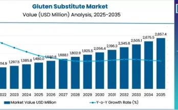 Gluten Substitute Market