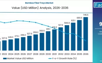Global Bamboo Fiber Trays Market