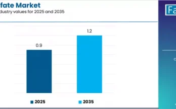 Ferrous Sulfate Market