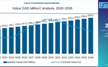 Foam-Free Snack Inserts Market