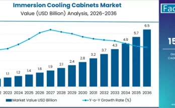 Immersion Cooling Cabinets Market
