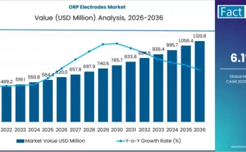 ORP Electrodes Market