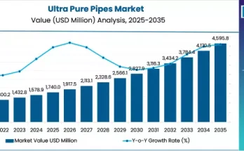 Ultra-pure Pipes Market