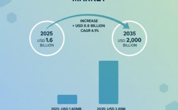 Ammonium Chloride Market Size