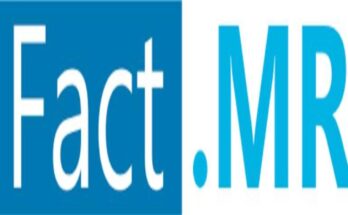 Kava Root Extract Market