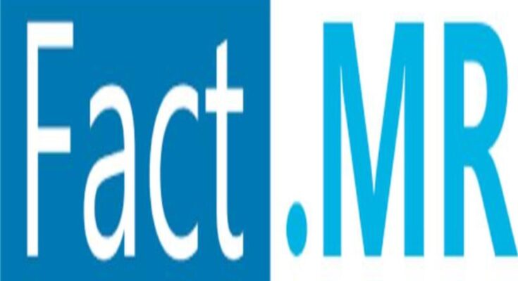 Kava Root Extract Market