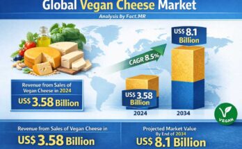 Vegan Cheese Market