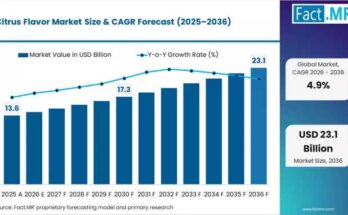 Citrus Flavor Market