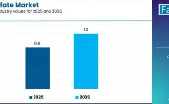 Ferrous Sulfate Market