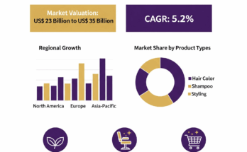 Professional Hair Care Products Market