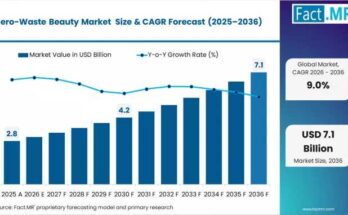 Zero-Waste Beauty Market
