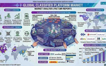 Classified Platform Market