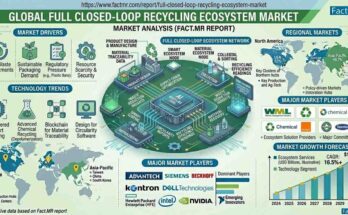 Full Closed-Loop Recycling Ecosystem Market