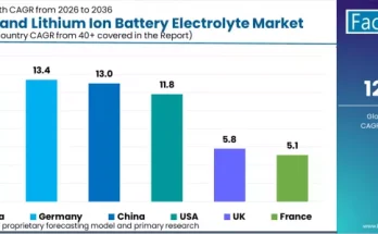 Germany Lithium and Lithium-Ion Battery Electrolyte Market