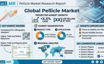 Pellicle Market