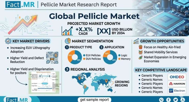 Pellicle Market