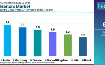 SGLT2 Inhibitors Market