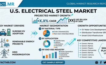 U.S. Electrical Steel Market