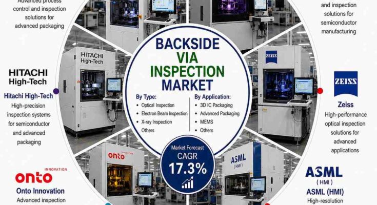 Backside Via Inspection Market