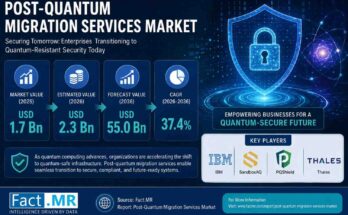 U.S. Post-Quantum Migration Services Market