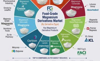 Food-Grade Magnesium Derivatives Market