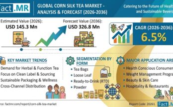 Corn Silk Tea Market