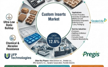Custom Inserts Market