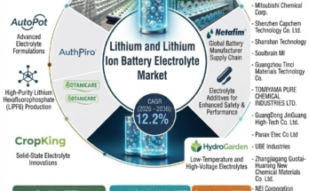 Lithium and Lithium Ion Battery Electrolyte Market