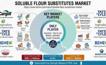 Soluble Flour Substitutes Market