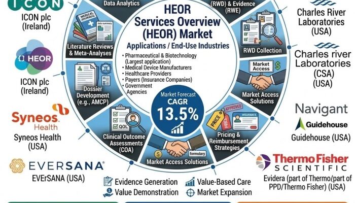 Health Economics and Outcomes Research Services Market