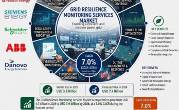 Grid Resilience Monitoring Services Market