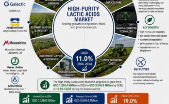 High-Purity Lactic Acids Market