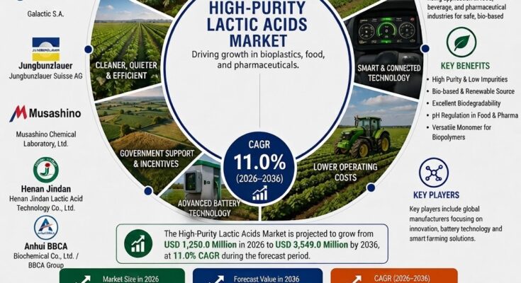 High-Purity Lactic Acids Market